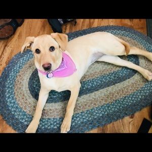 Meet your Posher, Jessica